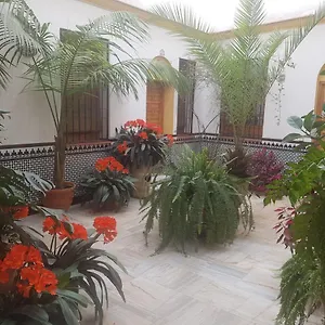 Casa Tipica Cordobesa Apartment Cordoba