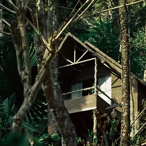 Panchavadi Farm Farm stay Thekkady